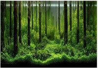 SEALED-Underwater Forest Tank Poster 61x30cm