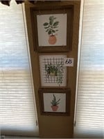 Lot of 3 Framed Plant Wall Art 9x9