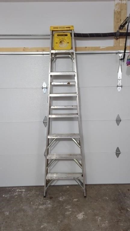 Werner 10 ft. Aluminum ladder