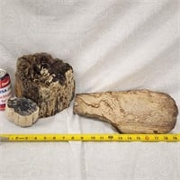 3 Pieces Of Fossilized Wood 12"X6" Burl