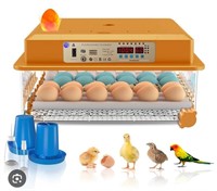 PaTunTEK 36 Eggs Incubator, Fahrenheit Incubators