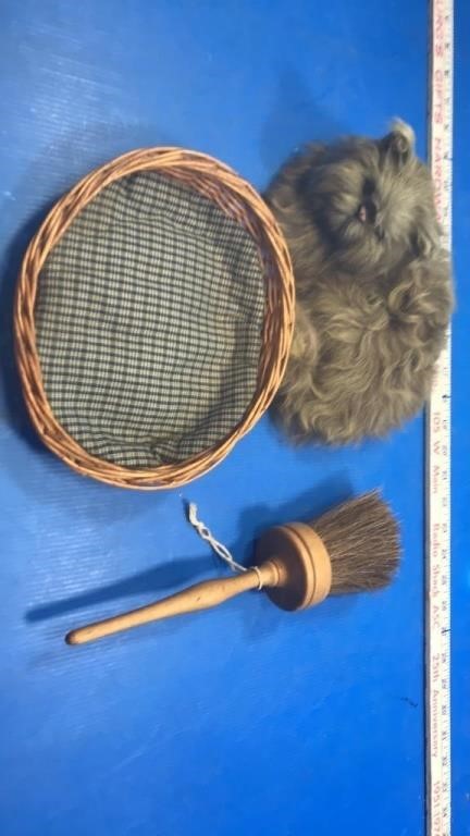 Cat,bed,brush