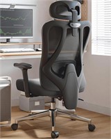 Hbada P3 Ergo Office Chair w/2D Lumbar Support