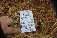 Straw-Lg.Squares-Barley