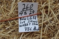 Straw-Lg.Squares-Wheat-3x4