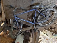 ADULT BICYCLE