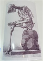 Franeeso Bertinatti Human Skeleton Sitting on Rock