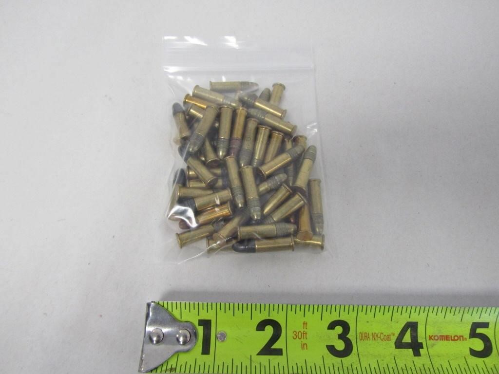 50 Rounds Mix 22 Ammo - NO SHIPPING