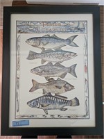 "FISHES OF THE CHESAPEAKE" FRAMED PRINT