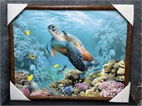 New, Swimming Turtle & Fish, Picture Framed in