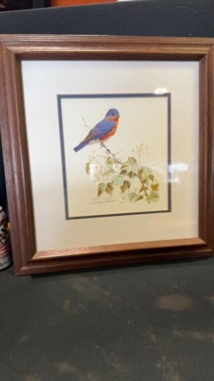 Framed 1988 David Plank bluebird/painting size is