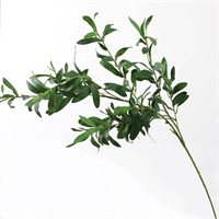 NC LAN Simulation Plant 10 Fork Olive Leaf