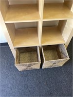 Storage cabinet with two bins #59