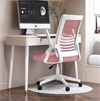 FM7624  Mesh Computer Chair with Lumbar Support
