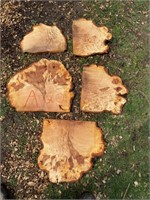 5- Maple Burls