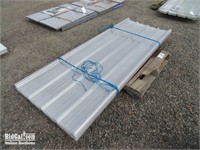 Polycarbonate Roof Panel in Clear