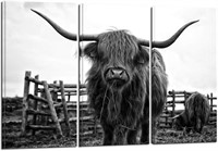 3 Piece Black & White Highland Cow Canvas