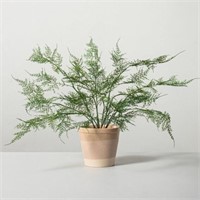 New Potted Rosemary - Threshold, 20in-