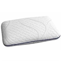 New ($56) Novaform Grande + Gel Memory Pillow