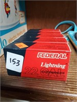 Federal Lightning 22 Long Rifle 40 gr.