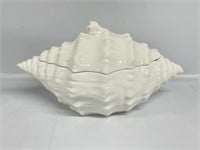 Italian White Sea Shell