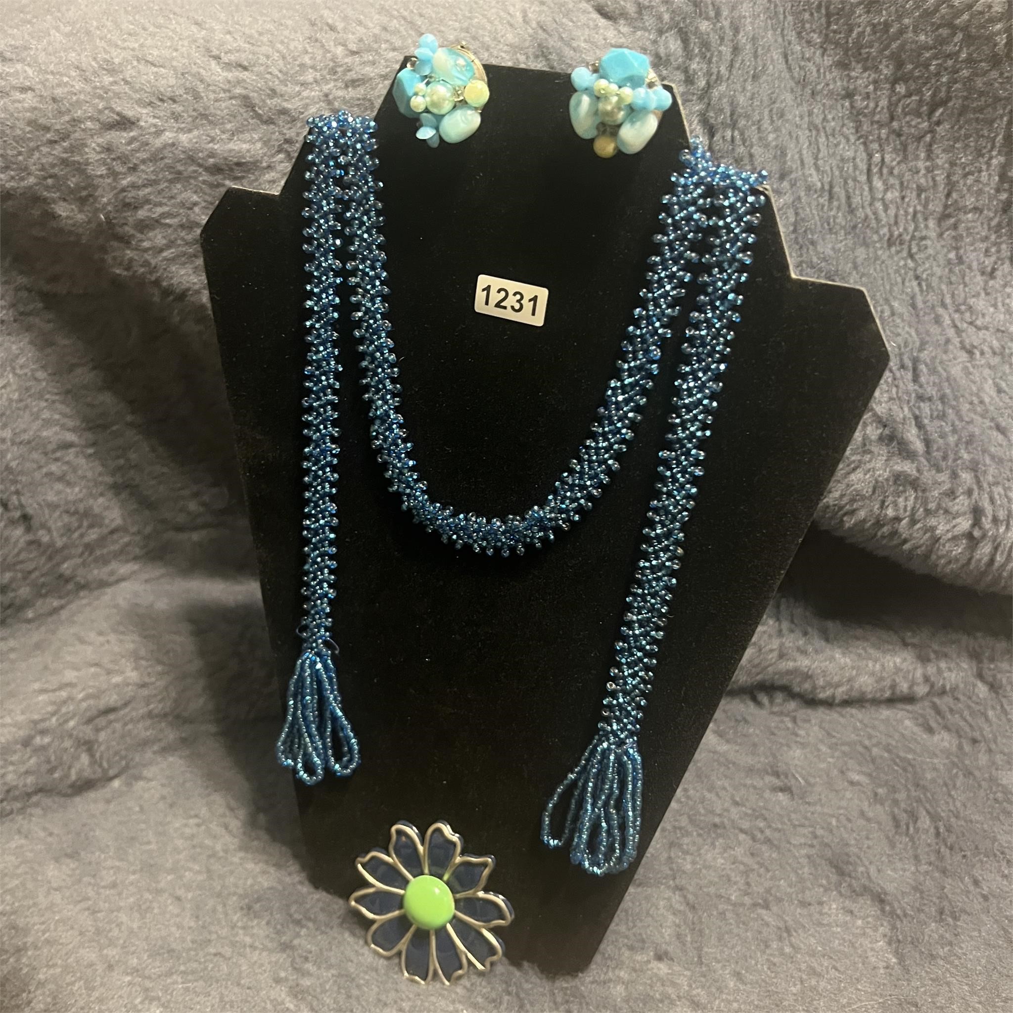 Blue Colored Necklace and Earrings