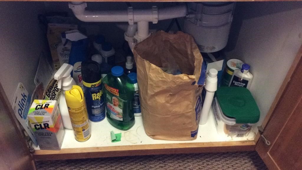 All cleaners and sponges under sink