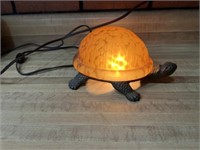 Turtle light