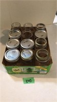 12 pint canning jars, some wide-mouth.