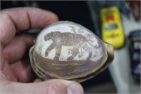 TIGER CARVED SHELL