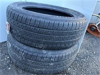 Two tires: 225/55R 19