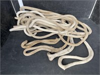 4 boat tie down ropes