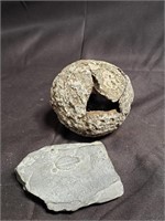 Group of rock specimen, fossilized rock, geode,