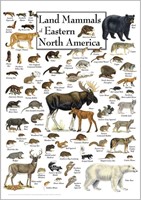 $25  Land Mammals of Eastern North America Poster