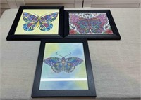 Butterfly Color Book Sheets Framed