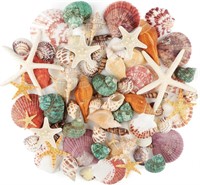$9  Sea Shells Mix  1.2-3.5 for DIY & Decor