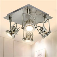 DLLT 4-Light Track Light  Adjustable  Nickel