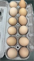 Dozen farm fresh eggs. Free range. Local. Room