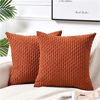 (cover only) 2pk Rust Throw Pillow Covers 20x20