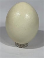 Ostrich Egg on Glass Stand
