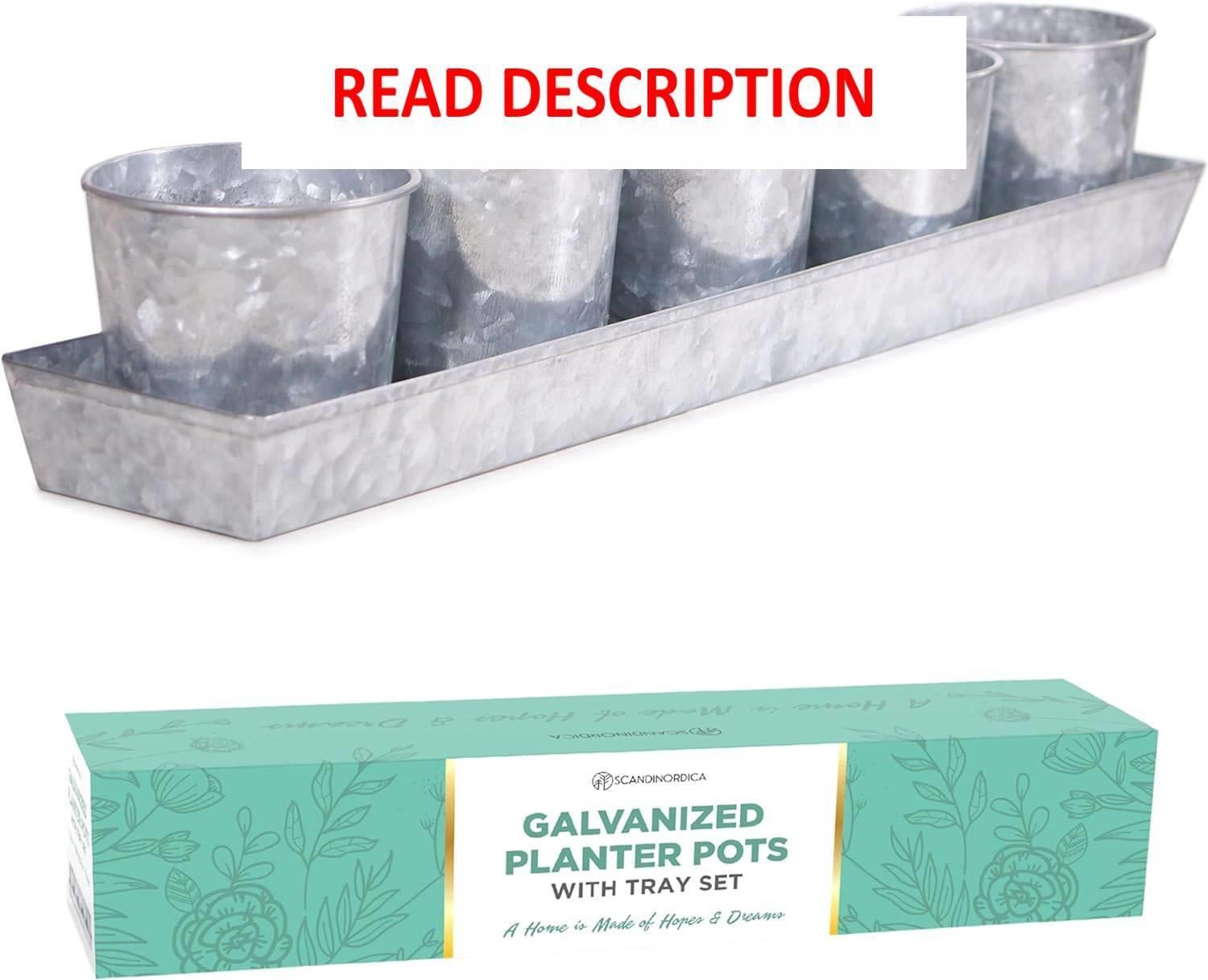 SCANDINORDICA Herb Planter 5 Pots with Drainage
