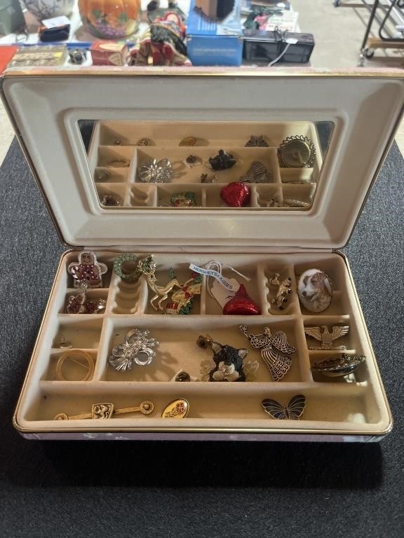 20+ Brooch Pins & More in Jewelry Case