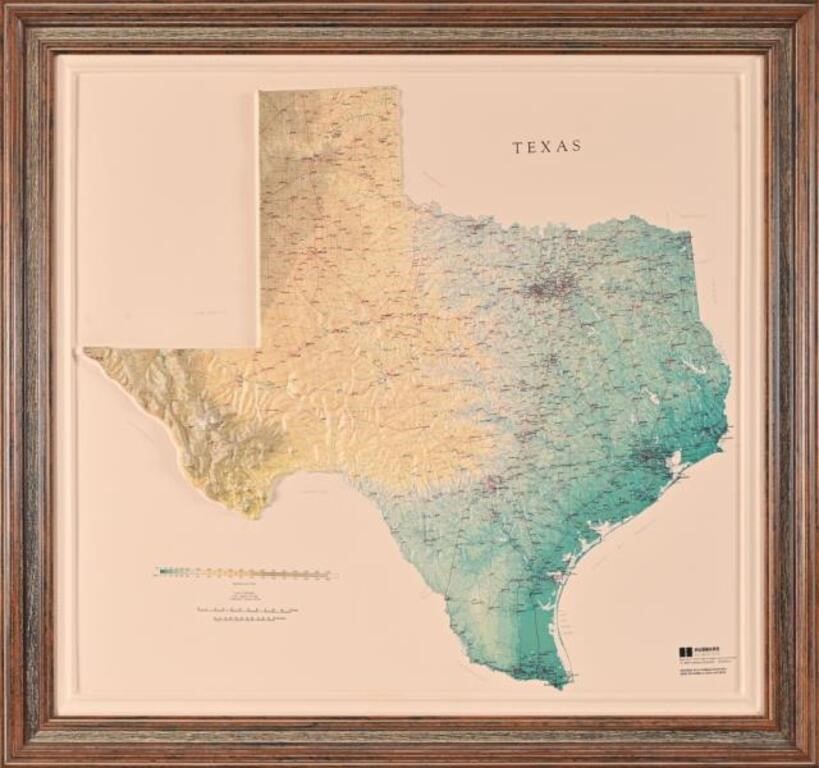 Topographic Raised Map Of Texas