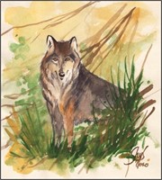 Ghys. Illustration originale Loup