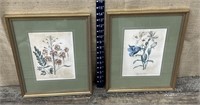 Pair of pretty framed floral engravings