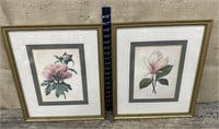 2 framed floral prints - pretty