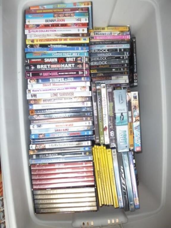 DVD Movie Collection - Huge Storage Tote Lot