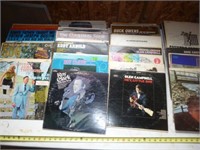 Vintage 33 RPM Vinyl Record Collection