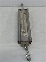 Hanson 100 lb. Hanging Scales