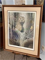 Framed and double matted under glass barred owl